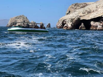 Paracas: speedboat BALLESTAS ISLANDS TOUR - Two hours on the water: speed, comfort, and what to wear