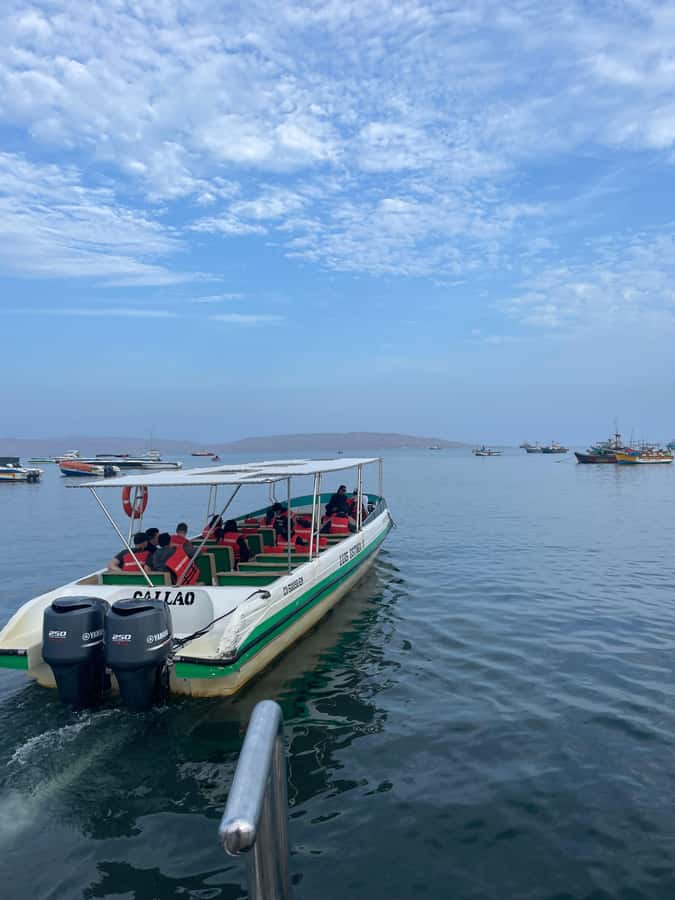 Paracas: speedboat BALLESTAS ISLANDS TOUR - Price and value: the $18 ticket and what you may still pay