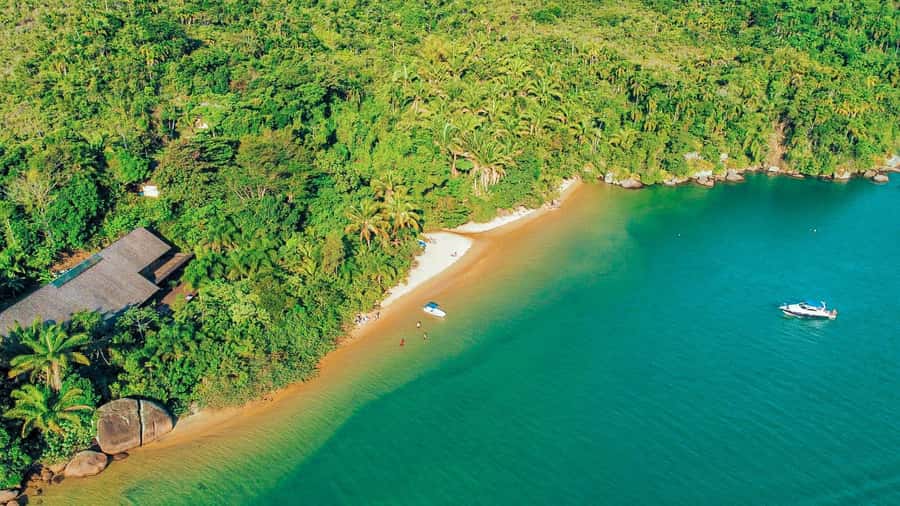 Paraty: Saco do Mamanguá Speedboat Tour - Quick hits before you go