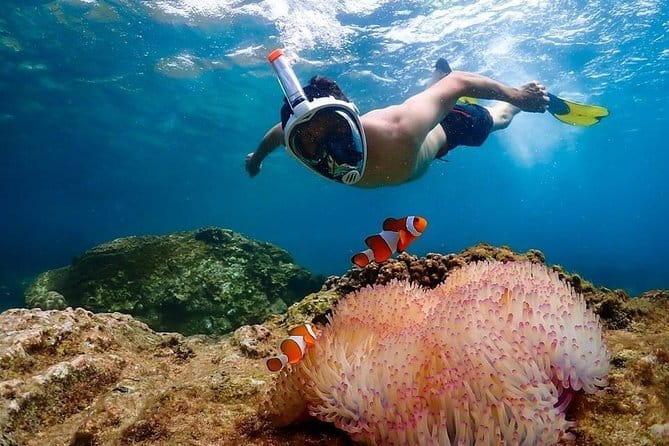 Pattaya Coral Island Tour with Indian Lunch and Hotel Transfer - Price and value: why $3.77 can still be worth it
