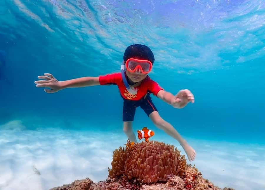 Pattaya: Private Speedboat Nemo Island with Snorkel & BBQ - Weather, Sea Conditions, and Comfort Tips That Actually Matter