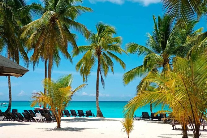 Perfect Day at Saona Island by Speedboat - Completely Private - Key highlights to know before you go