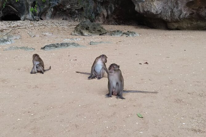 Phang Nga Bay Island Boat Tour By Speedboat By Phuket Sail Tours - Krabi-Side Time for Swimming and Snorkeling