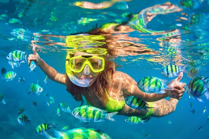 Phi Phi & Bamboo Islands Snorkeling Tour with Lunch by Speedboat - Maya Bay: famous cove time plus the reality of crowds