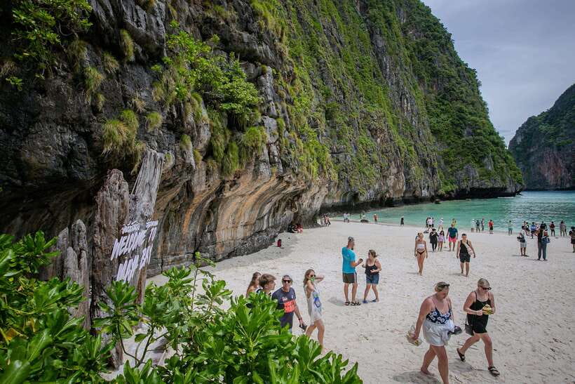 Phi Phi : Half Day By Speed Boat 4 hours Phi Phi Lay - Shark Point snorkeling: the water break that turns the tour into a swim day