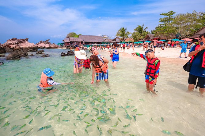 Phi Phi Island from Phuket by Speedboat (SHA Plus) - Price and What You Actually Get for $94.89