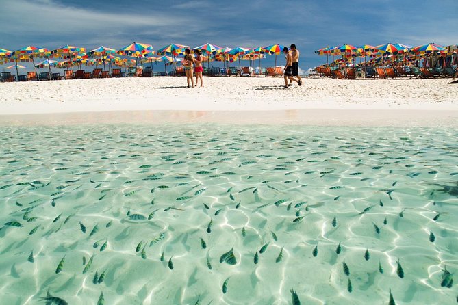 Phi Phi Island from Phuket by Speedboat (SHA Plus) - Koh Khai Nai: The Best Place to Snorkel Without Complication