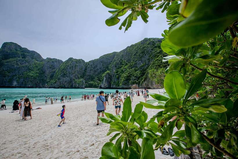 Phi Phi Island: Maya bay Sunset & Plankton by Speedboat - Meeting McDonald’s in Tonsai Bay and getting to Koh Phi Phi