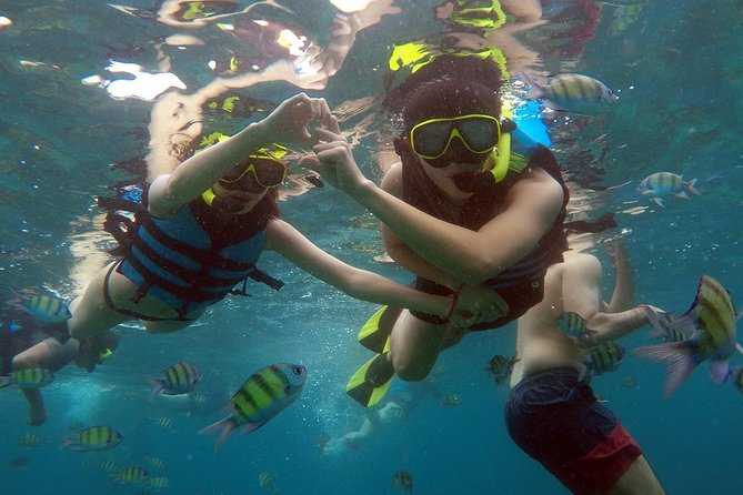 Phi Phi Islands Day Tour Bamboo and Maya Bay with Lunch By Speedboat - Pileh Bay Lagoon: Limestone Cliffs and Your Jump Options