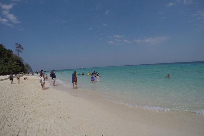 Phi Phi Islands Day Tour Bamboo and Maya Bay with Lunch By Speedboat - Bamboo Island: Beach Time Plus Snorkel-Friendly Water
