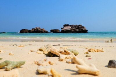 Phi Phi Islands One Day Tour by Speedboat From Phuket - Phi Phi Islands: your first hit of dramatic limestone