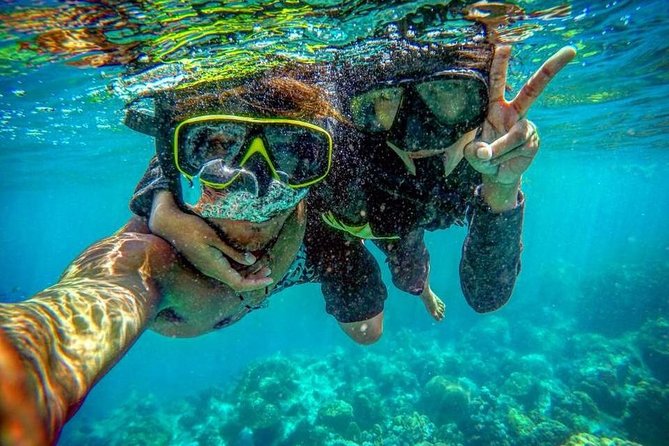 Phi Phi Islands Premium Day Trip Speedboat with Seaview Lunch by ALP Tour - Price and Value: What You’re Getting for About $104