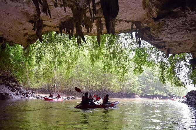 Phi Phi, Maya and Bamboo Islands Day Tour by Speedboat in Krabi - Pi Leh Bay and Loh Samah Bay: The Two-Part Formula for Best Views