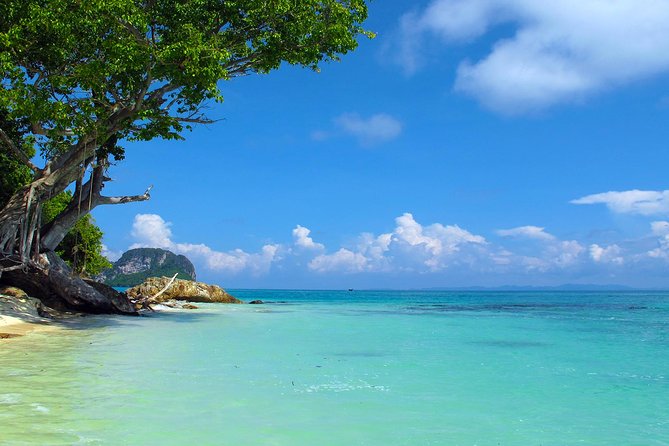 Phi Phi & Maya Bay Speedboat: All-Day Food & Choice of 3 Marinas - Maya Bay: famous cliffs, quick rules, and good photo time