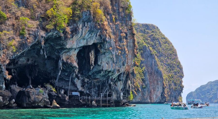 Phi Phi: Morning Speedboat Tour to Maya Bay with Snorkel - Who should book this (and who should skip it)