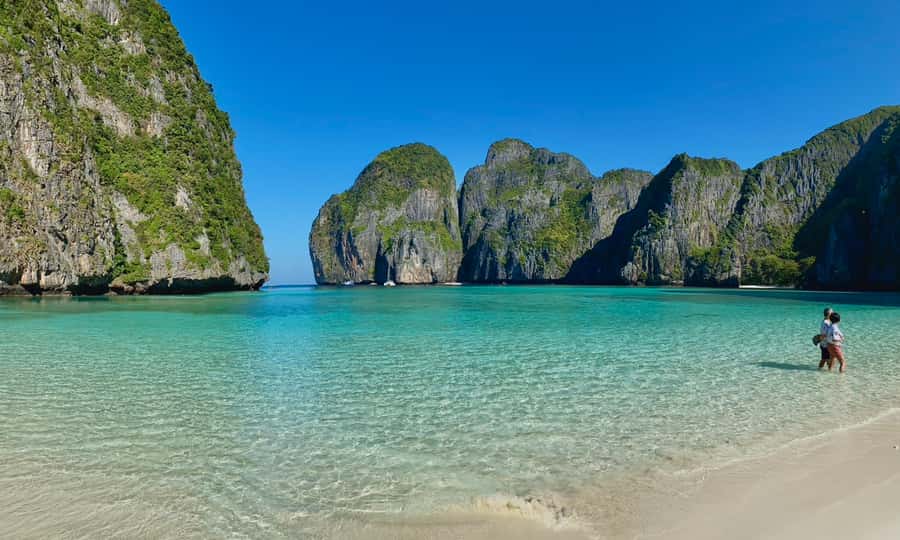 Phi Phi: Sunrise & Beat The Crowds to Maya Bay by Speedboat - Snorkeling: corals and tropical fish, plus the blacktip possibility