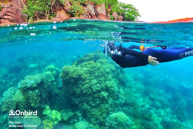 [Phu Quoc] Private Speedboat & Short-Snorkel: South Hidden Reefs - On-Board Comfort: Snacks, Water, and a Boat That’s Built for Short Trips