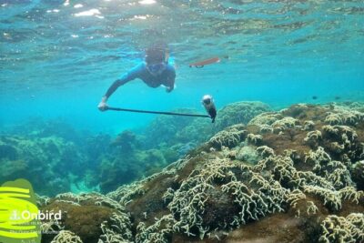 [Phu Quoc] Private Speedboat & Short-Snorkel: South Hidden Reefs - Snorkel Gear, Safety Session, and the English-Speaking Support That Makes It Easier
