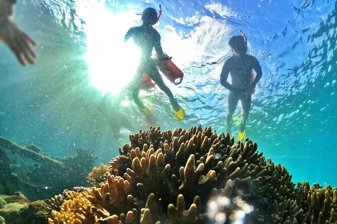 [Phu Quoc] Private Speedboat & Short-Snorkel: South Hidden Reefs - Who This Tour Fits Best (and Who Might Want Something Else)