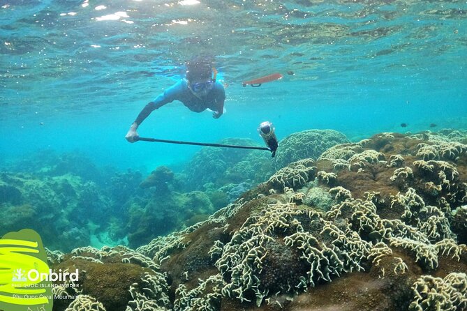 [Phu Quoc] Private Speedboat & Short-Snorkel: South Hidden Reefs - Snorkel Gear, Safety Session, and the English-Speaking Support That Makes It Easier