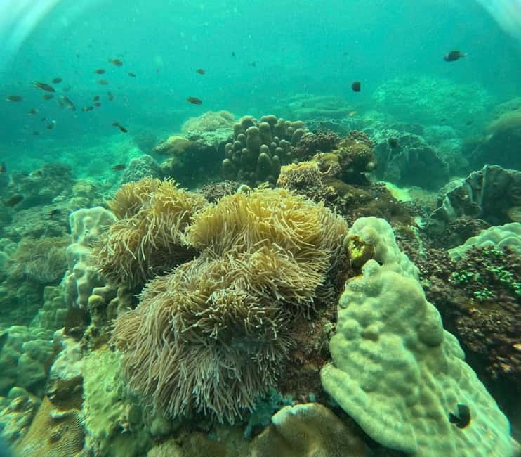 Phu Quoc: Snorkeling and Island Hopping by Speedboat & Lunch - May Rut Ngoai: beach time, swimming breaks, and photos