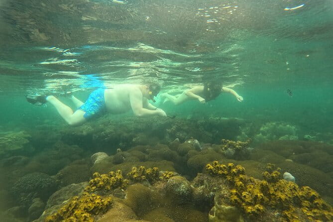 Phu Quoc: Snorkeling and Island Hopping By Speedboat with Lunch - Coral Park and the Reef Intervals: Walking Underwater Without the Guesswork