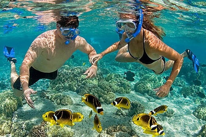 Phu Quoc: Snorkeling and Island Hopping By Speedboat with Lunch - Lunch on Mong Tay and May Rut Trong: Eat Well, Then Get Back in the Water