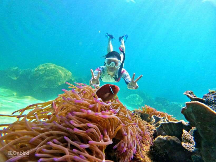Phu Quoc: Speed Boat Tour 4 Islands - 2 Reefs Snorkeling - Two coral reefs plus island time: how the day usually flows