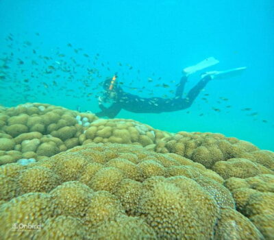 Phu Quoc: Speed Boat Tour 4 Islands - 2 Reefs Snorkeling - The crew’s safety-first style (including the shallow-water warm-up)