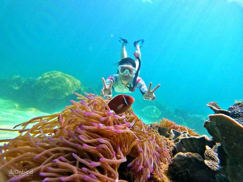Phu Quoc: Speed Boat Tour 4 Islands - 2 Reefs Snorkeling - Where the value really comes from: price, inclusions, and what you may pay extra
