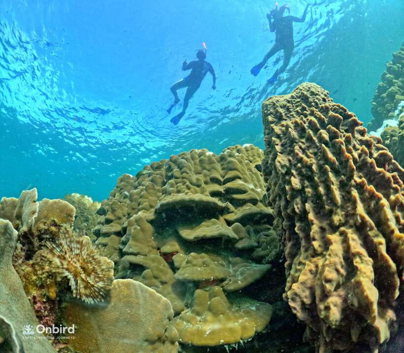 Phu Quoc: Speed Boat Tour 4 Islands - 2 Reefs Snorkeling - Timing and sea conditions: why the route can shift