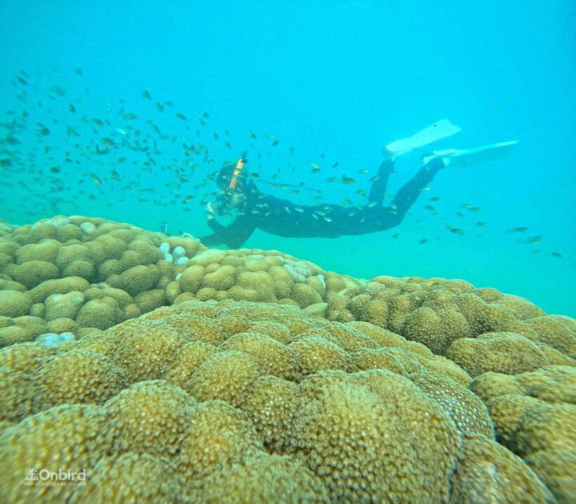 Phu Quoc: Speed Boat Tour 4 Islands - 2 Reefs Snorkeling - The crew’s safety-first style (including the shallow-water warm-up)