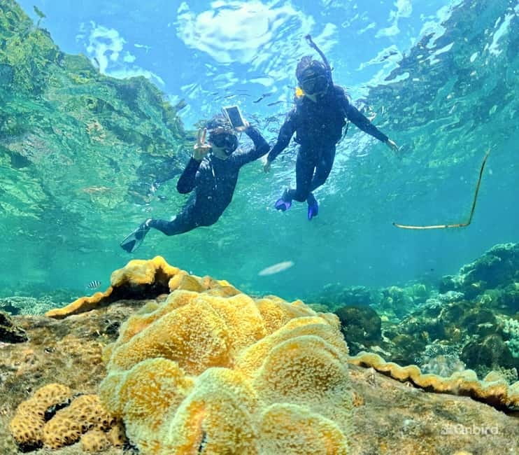 Phu Quoc Speedboat Pro Snorkeling: 4 Islands-2 Reefs & Meal - Key things that make this tour worth your time
