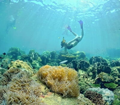 Phu Quoc Speedboat Pro Snorkeling: 4 Islands-2 Reefs & Meal - Max-10 groups, open speedboats, and what that feels like