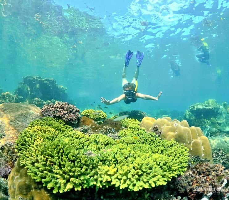 Phu Quoc Speedboat Pro Snorkeling: 4 Islands-2 Reefs & Meal - The sea-view dinner setup and keeping the ocean clean