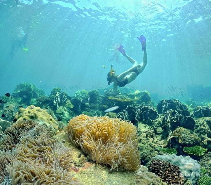 Phu Quoc Speedboat Pro Snorkeling: 4 Islands-2 Reefs & Meal - Who this tour suits (and who should skip it)