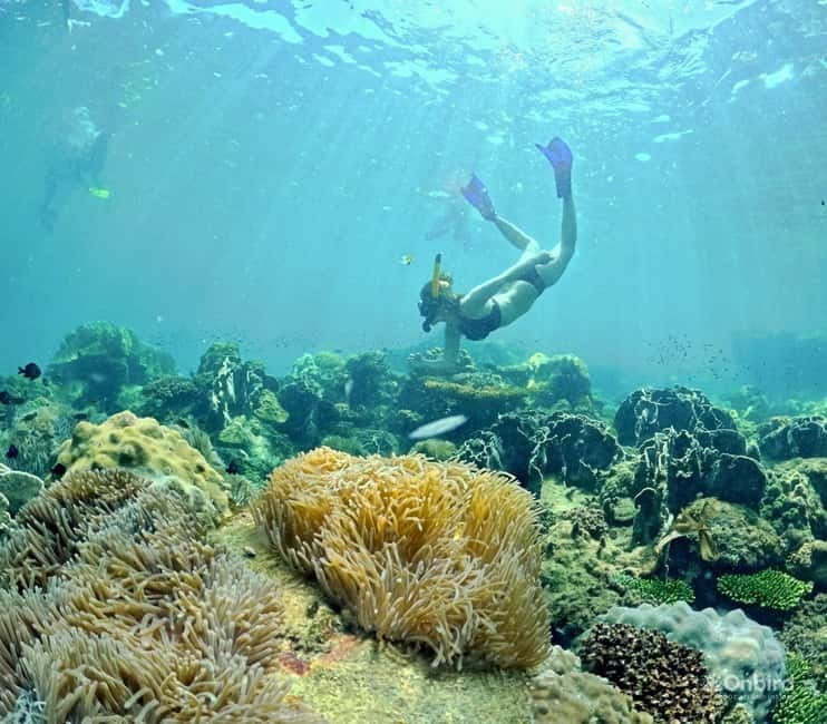 Phu Quoc Speedboat Pro Snorkeling: 4 Islands-2 Reefs & Meal - Max-10 groups, open speedboats, and what that feels like