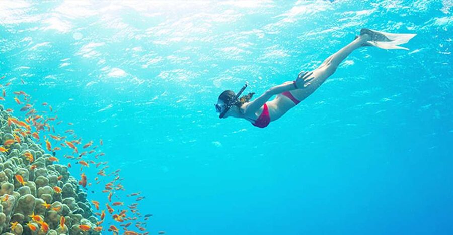 Phu Quoc: Speedboat Tour of 4 Islands with Snorkeling & BBQ - Key things I’d bookmark before you go