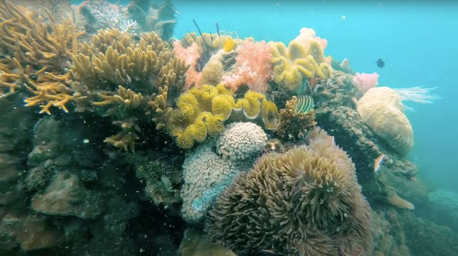 Phu Quoc: Speedboat Tour of 4 Islands with Snorkeling & BBQ - Stop 2: May Rut Ngoai or Gham Ghi—Weather Decides Your Best Beach Moment