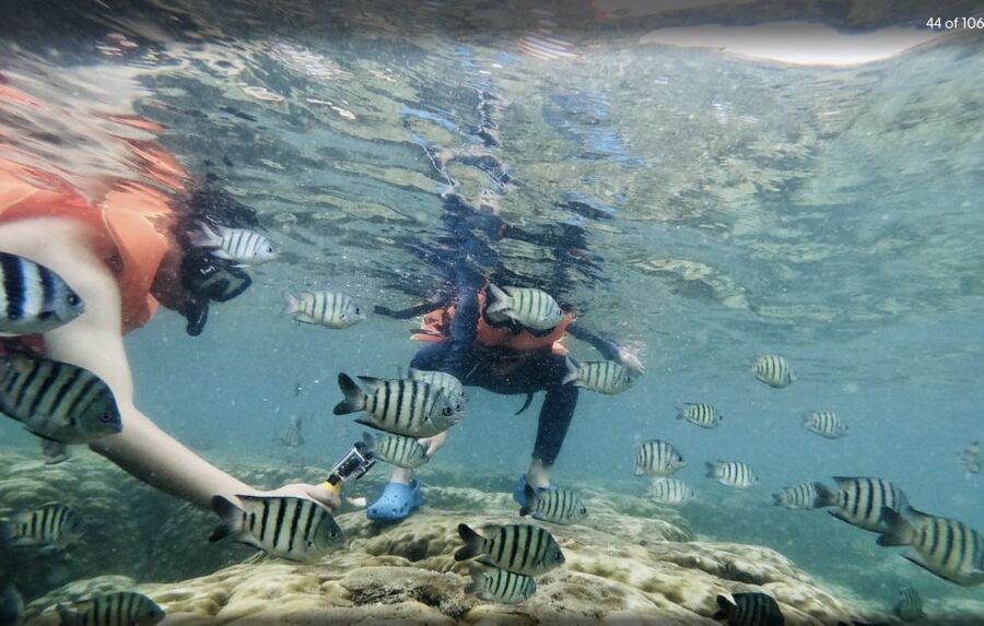 Phu Quoc: Speedboat Tour of 4 Islands with Snorkeling & BBQ - The Seafood BBQ Lunch on the Mainland: Why It’s a Big Deal