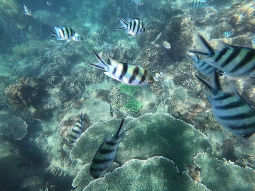 Phu Quoc: Speedboat Tour of 4 Islands with Snorkeling & BBQ - Small-Group Energy and the Anti-Crowd Approach