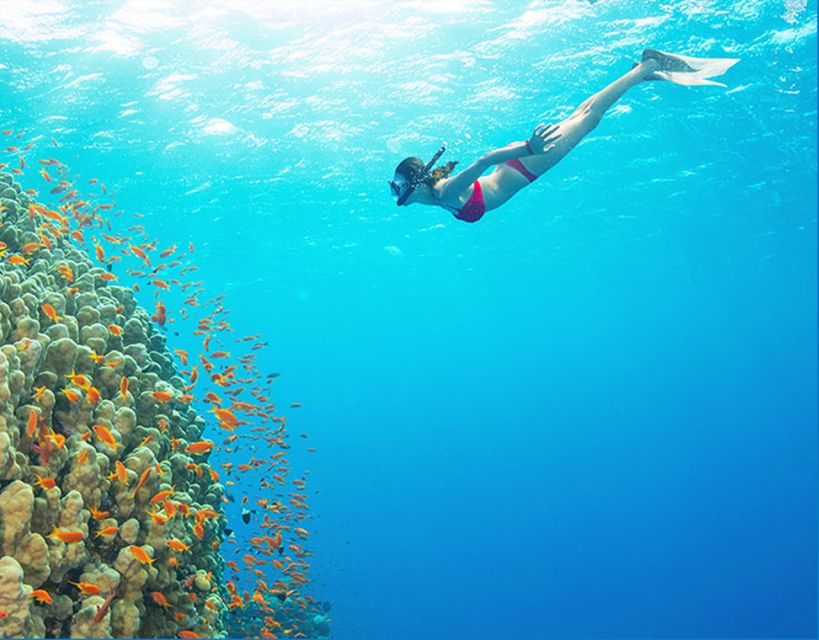 Phu Quoc: Speedboat Tour of 4 Islands with Snorkeling & BBQ - Getting Picked Up in Phu Quoc: Logistics That Don’t Waste Your Morning