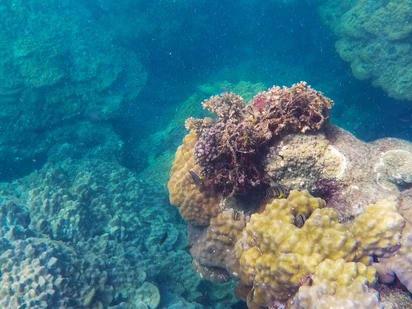 Phu Quoc Speedboat Trip: 3 Islands By Speedboat - May Rut Trong Island: Lunch, White Sand, and the Chillout Moment