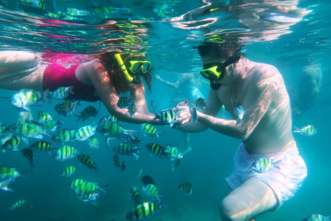 Phuket 3 Khai Island Speedboat With Snorkeling (Half or Full Day) - Phuket 3 Khai Islands: The Fast, Friendly Route to Clear-Water Beaches