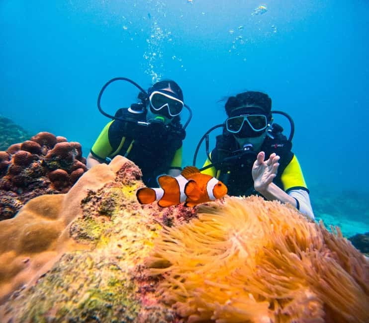 Phuket: 3 Khai Islands Speedboat Tour- Snorkeling & Relaxing - Key things to know before you go