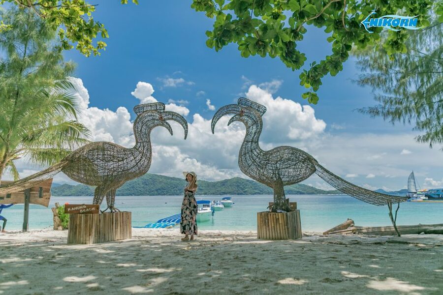 Phuket: Coral Island Day Tour by Speedboat - Snorkeling Gear and Water Reality: How to Make It Work