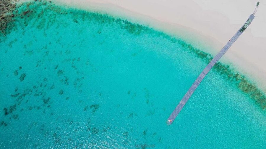 Phuket: Coral & Racha Islands Day Trip By Speedboat - Snorkeling Gear and What to Do With It