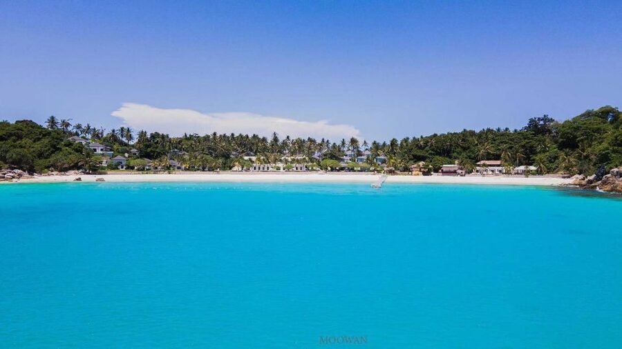 Phuket: Coral & Racha Islands Day Trip By Speedboat - What You Get for About $56: Real Value, Not Just a Ticket