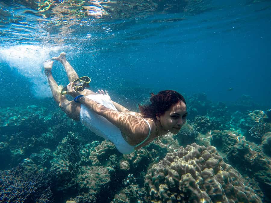 Phuket: Deluxe Phi Phi Tour by Speedboat & Lunch Buffet - Key things to know before you go