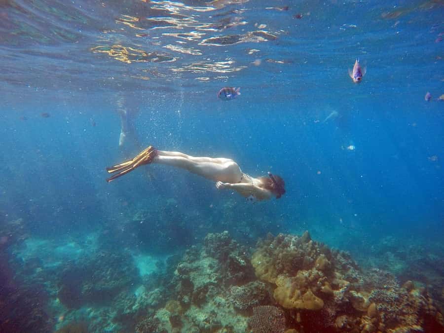 Phuket: Deluxe Phi Phi Tour by Speedboat & Lunch Buffet - Entering The Phi Phi machine: how the day stays on schedule
